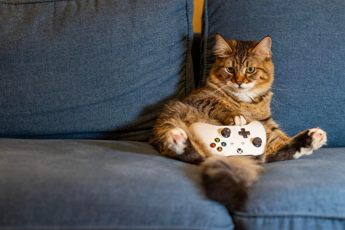 Codes besoins sur consoles : Xbox One et PS4